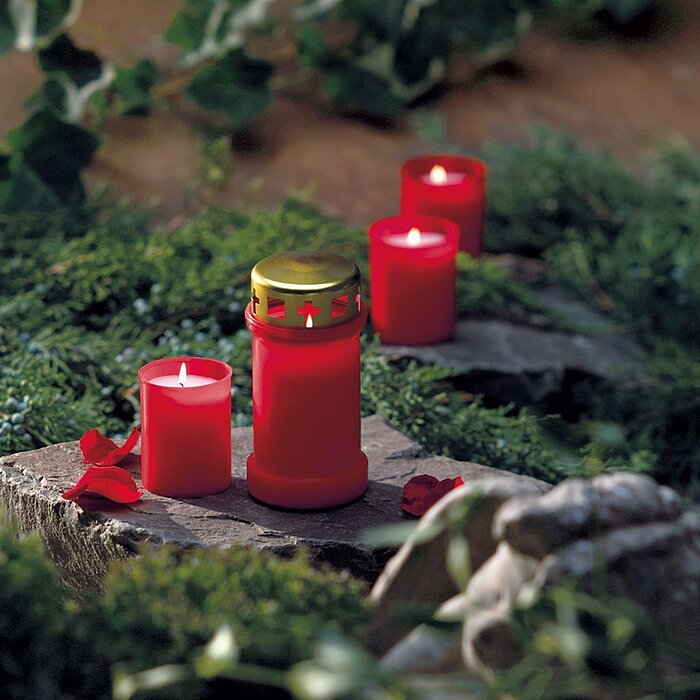 Vier brennende "Bolsius"-Grabkerzen in Rot: zwei klassische Grablichter mit goldenen Deckeln und zwei kleinere Stumpenkerzen ohne Deckel. Die Kerzen stehen auf einem mit Moos und Pflanzen bewachsenen steinernen Untergrund, eingerahmt von grüner Vegetation