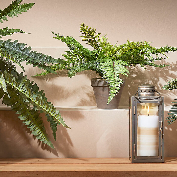 Drei grüne Farne in verschiedenen Pflanzgefäßen stehen auf einem Holztisch. Links befindet sich ein Farn in einem schwarzen, geflochtenen Korb, in der Mitte ein kleinerer Farn in einem grauen Topf und rechts ein Farn in einem beigen Korb aus geflochtenem 