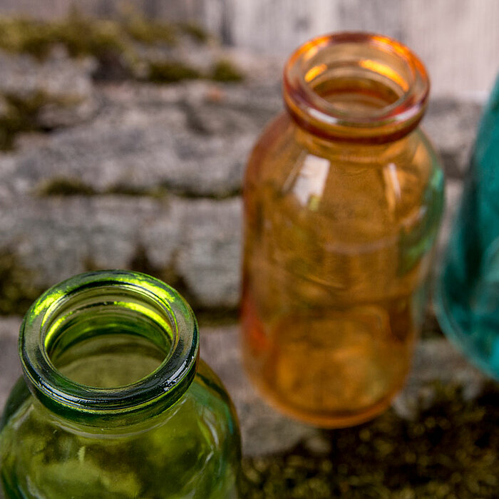 Zwei Glasflaschen vom Hersteller Sandra Rich liegen auf einer moosbedeckten Holzoberfläche. Eine Flasche ist klar und durchsichtig, während die andere in einem kräftigen Blau schimmert. Die natürliche Umgebung und die Reflektion des Lichts erzeugen eine r