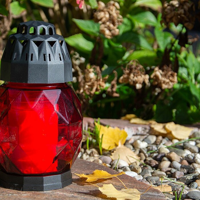 Eine rote Bolsius Grabkerze eingebettet in einem schwarzen, dekorativen Halter auf einem Kiesbett, umgeben von grünen Pflanzen und herbstlich gefärbten Blättern.