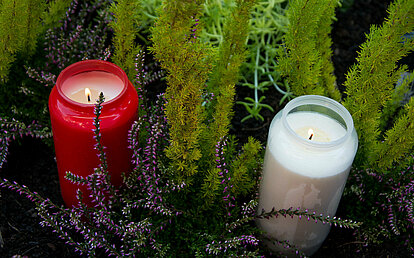 eine weisse und eine rote brennende Grabkerze ohne Deckel stehen nebeneinander zwischen grünem und lilafarbenen Farn