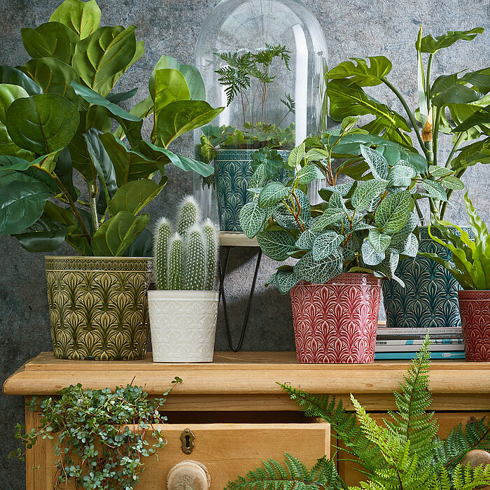 Vier grüne Zimmerpflanzen in modernen Töpfen auf einem rustikalen Regal vor einer beigen Wand mit strukturierter Oberfläche. Die Pflanzen haben üppige, herabhängende Blätter mit verschiedenen Grüntönen. Von links nach rechts: Die erste Pflanze hat dunkelg