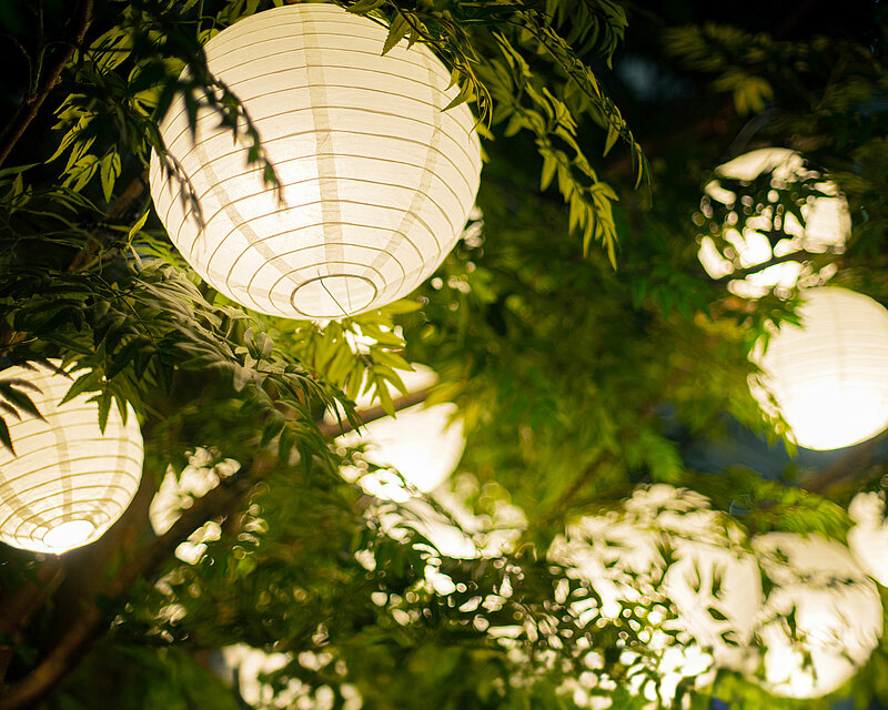 Romantische Aufnahme einer Baumkrone im Sommer, die mit weißen, hell leuchtenden LED-Lampoins behängt wurde.