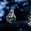 Eine Reihe von Glühbirnen ist an einem Draht aufgehängt und leuchtet in der Abenddämmerung. Die Lichter strahlen warmes, gemütliches Licht aus. Im Hintergrund sind unscharf dunkle Bäume und der Abendhimmel zu erkennen, was eine ruhige und friedliche Atmos