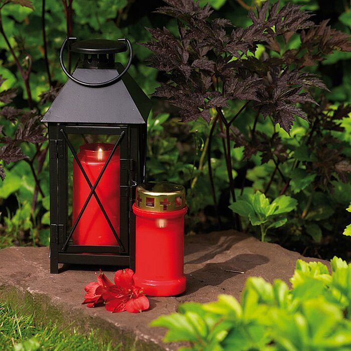 Zwei Bolsius Grabkerzen stehen in einem üppigen Garten. Eine der roten Kerzen befindet sich in einer schwarzen Laterne, während die andere mit einem goldenen Deckel daneben steht. Die Szene wird von grünen Pflanzen und einem roten Blütenblatt auf dem Bode