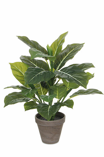 MICA Decorations Evergreen im Topf 49/40cm (H/DM) Artikelvorschau Evergreen im Topf 49/40cm (H/DM)