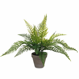 MICA Decorations Farn im Topf 40/36cm (H/DM) Artikelvorschau Farn im Topf 40/36cm (H/DM)