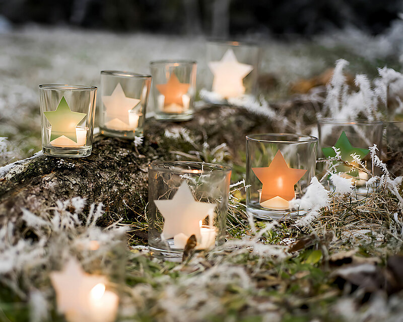 Mehrere unterschiedlich farbene Teelichthalter 'Star' von Sandra Rich stehen auf einem mit Moos und Eis bedeckten Waldboden und auf einem kleinen Holzstamm. In den Teelichthaltern befindet sich jeweils ein brennendes Teelicht, das eine warme und einladende Atmosphäre in die winterliche Szenerie bringt.
