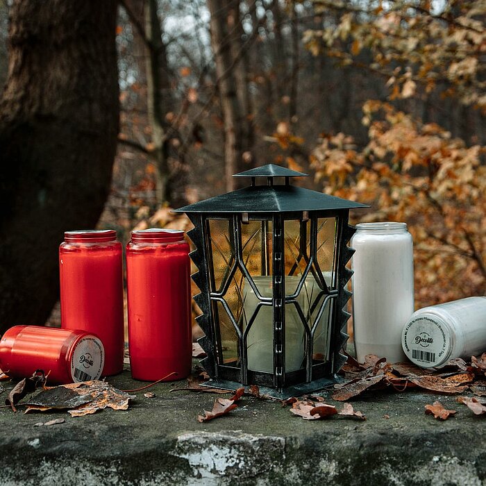 Sechs Kerzen (drei rote und drei weiße) von DecoLite, teilweise liegend, teilweise stehend, sind auf einer verfallenen Mauer in einem herbstlichen Wald ausgestellt. Eine schwarze Laterne von DecoLite steht in der Mitte, umgeben von trockenen Blättern. Im 