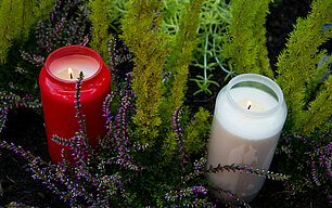 Zwei brennende Kompositions-Grablichter, eine in weiß, eine in rot, stehen in einem Beet aus grünem und lila farbenem Heidekraut.