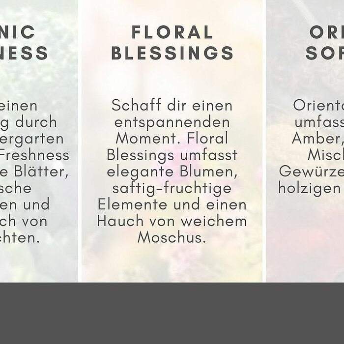 Das Bild zeigt eine Duftkerzenwerbung des Herstellers Bolsius, unterteilt in drei Abschnitte: "Botanic Freshness", "Floral Blessings" und "Oriental Softness". Jeder Abschnitt beschreibt eine andere Duftkollektion von Bolsius. "Botanic Freshness" wird mit 