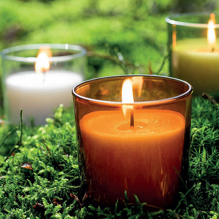 Drei brennende Wenzel Kerzen in Glasbehältern stehen auf einem Bett aus saftig grünem Moos. Eine Kerze ist orange, die zweite weiß und die dritte hellgrün. Die warmen Flammen der Wenzel Kerzen kontrastieren harmonisch mit dem natürlichen, grünen Hintergru