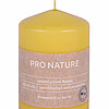 Eine Pro Nature Stearin-Stumpenkerze von Müller Kerzenfabrik in der Größe 10x6,8cm in der Geruchssorte Honig.