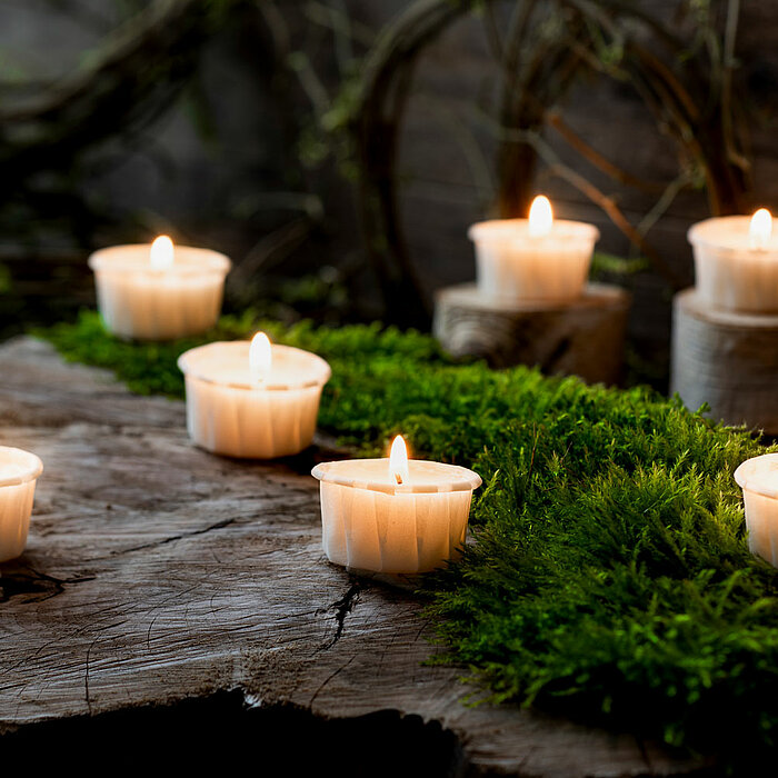 Sieben brennende Teelichter in weißen Haltern stehen auf einem hölzernen Untergrund, der mit Moos bedeckt ist. Im Hintergrund sind Äste und Zweige sichtbar, die eine natürliche und beruhigende Atmosphäre schaffen. Die sanften Lichter der Teelichter wirken