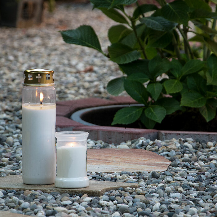 Ein Bild zweier brennender Bolsius Grabkerzen auf einem Kiesweg in einem Garten. Die eine Kerze ist größer und hat einen goldenen Deckel, während die kleinere Kerze ohne Deckel daneben steht. Im Hintergrund ist eine grüne Pflanze auf der linken Seite zu s