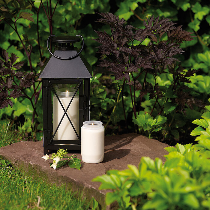 Bei dem Bild sind vier brennende Bolsius Grabkerzen zu sehen. Zwei Kerzen tragen jeweils ein Bild der Jungfrau Maria. Die Kerzen sind auf einem verwitterten Stein platziert, umgeben von herbstlichem Laub. Neben den Grabkerzen steht eine Metalllaterne mit 