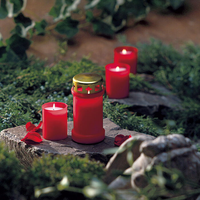 Vier brennende Bolsius Grabkerzen in roten Hüllen, die auf einem mit Moos und Gräsern bedeckten Steingrabbett arrangiert sind. Eine Kerze hat einen goldenen Deckel. Rote Rosenblätter sind um die Kerzen herum verstreut. Im Hintergrund sind grüne Pflanzen z