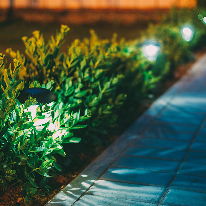 Ein beleuchteter Gehweg, der von vier Gartenleuchten gesäumt wird. Die Gartenleuchten sind in eine dichte Hecke integriert und werfen ein warmes, einladendes Licht auf den Pfad und die umliegenden Blätter. Der Gehweg besteht aus gleichmäßig verlegten Plat