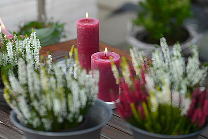 Auf dem Bild sind im Vordergrund etwas unscharf zwei Töpfe mit weißem und rotem Farn zu sehen. Dahinter sind scharf im Bild zwei rote, rustikale und brennende Stumpenkerzen zu erkennen. Die gesamte Szene befindet sich auf einer Terrasse oder im Freien auf einem schönen Holztisch. Die warmen Flammen der Kerzen und das natürliche Grün des Farns schaffen eine einladende und gemütliche Atmosphäre im Außenbereich.