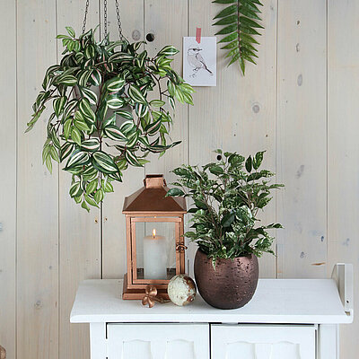 Ein weißes Holzschränkchen steht vor einer weiß gestrichenen Holzwand neben einem Fenster. Auf dem Tisch steht eine Kunstpflanze (Ficus) im Topf, neben einer bronzenen Laterne mit einer brennenden Stumpenkerze darin. Darüber hängt eine weitere Kunstpflanze (Tradescantia) in einem Hängetopf.